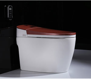 ARKIN INTEGRATED SMART TOILET