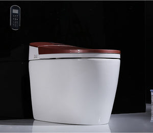 ARKIN INTEGRATED SMART TOILET