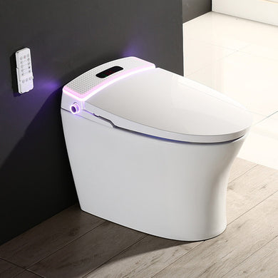 PETUNIA SMART TOILET