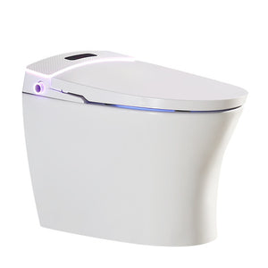 PETUNIA SMART TOILET