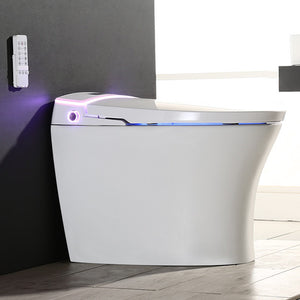 PETUNIA SMART TOILET