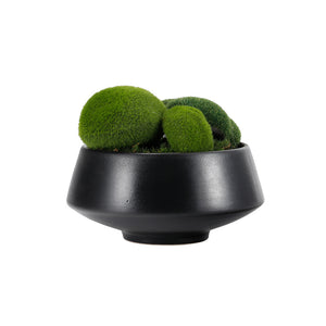 TAINI ARTIFICIAL POTTED PLANT