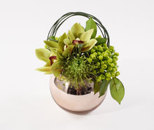 Load image into Gallery viewer, SCHWARTZ ARTIFICIAL POTTED PLANT