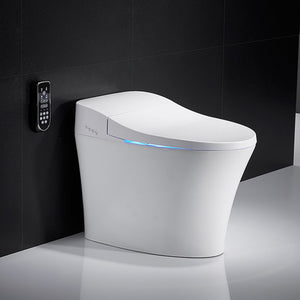 KAHLO SMART TOILET