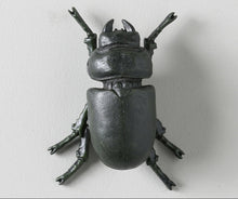 Load image into Gallery viewer, GALAXIA BEETLE WALL DECOR ( SET OF 2)