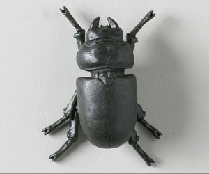 GALAXIA BEETLE WALL DECOR ( SET OF 2)