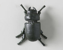 Load image into Gallery viewer, GALAXIA BEETLE WALL DECOR ( SET OF 2)