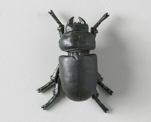 GALAXIA BEETLE WALL DECOR ( SET OF 2)