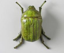 Load image into Gallery viewer, GALAXIA BEETLE WALL DECOR ( SET OF 2)