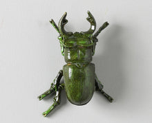 Load image into Gallery viewer, GALAXIA BEETLE WALL DECOR ( SET OF 2)