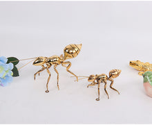 Load image into Gallery viewer, SOLDIER ANT (Set of 2)