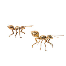 Load image into Gallery viewer, SOLDIER ANT (Set of 2)