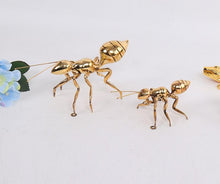 Load image into Gallery viewer, SOLDIER ANT (Set of 2)