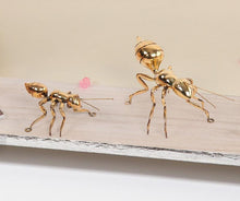 Load image into Gallery viewer, SOLDIER ANT (Set of 2)