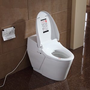 ARLEN SMART TOILET