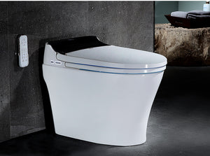 COSIMA INTEGRATED SMART TOILET